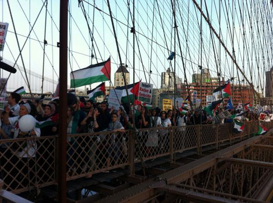 انتصارا لغزة الجريحة.. العلم الفلسطيني العملاق يرتفع في نيويوك صورة رقم 2