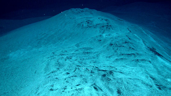 ميكروبات تحت الجليد بالقطب الجنوبي قد تعكس صورا للحياة في الفضاء صورة رقم 2