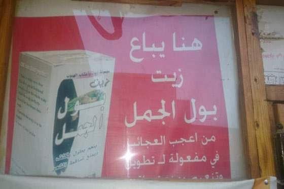 منتج جديد في اسواق اليمن.. بول الجمل لشعر اقوى واكثر نعومة!! صورة رقم 1