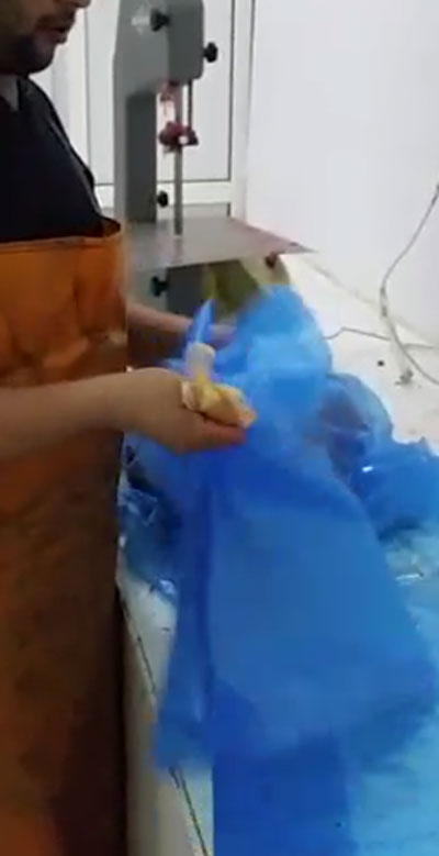 السعودية: صور وفيديو (صرصور) يتمشى فوق اللحوم بأحد مسالخ شقراء صورة رقم 3