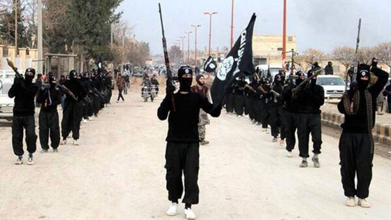 اليكم الحقيقية الدامغة عن اعداد الغربيين المقاتلين في صفوف داعش صورة رقم 4