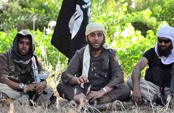 اليكم الحقيقية الدامغة عن اعداد الغربيين المقاتلين في صفوف داعش صورة رقم 6