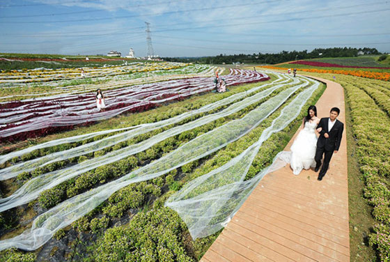 بالفيديو.. عارضة في اطول فستان زفاف طوله 4100 متر صورة رقم 3