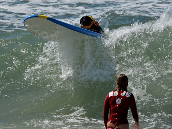بالصور.. كلاب يركبون الأمواج في مسابقة بكاليفورنيا صورة رقم 8