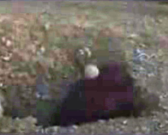 فيديو مؤلم.. وحوش بشرية يقيمون الحد على امرأة سورية برجمها حتى الموت صورة رقم 2