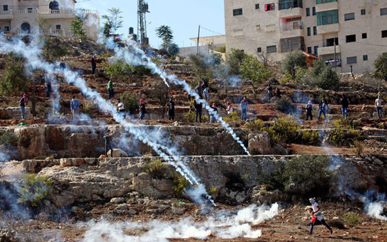 صور الاسبوع: امرأة غاضبة تفكك آلة الصرف الآلي، متظاهر فلسطيني سقوط شاحنة وفرسان المغرب صورة رقم 21