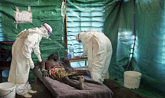 عالم كبير يحمل امريكا المسؤولية عن تفشي فيروس ايبولا في افريقا!! صورة رقم 6