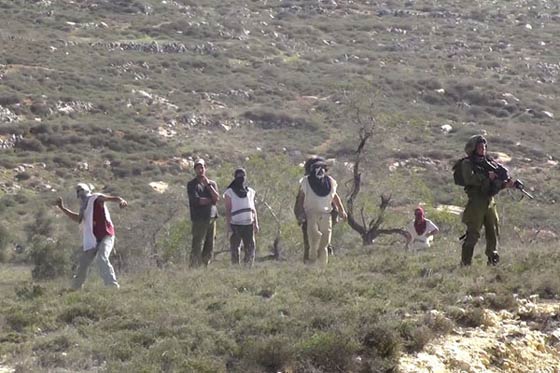 حجارة المستوطنين ضد الفلسطينيين تغري جنود اسرائيل بالصمت  صورة رقم 1