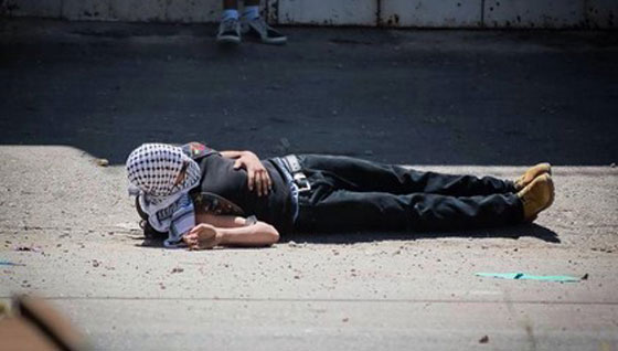 بالفيديو.. شرطي اسرئيلي متهم بقتل شاب فلسطيني بشكل متعمد!  صورة رقم 4