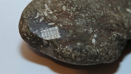 حجر عمره 250 مليون سنة يحير العلماء.. هل وقع من كوكب آخر؟ صورة رقم 1