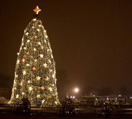  صور اجمل 10 شجرات مزيّنة لعيد الميلاد حول العالم  صورة رقم 5