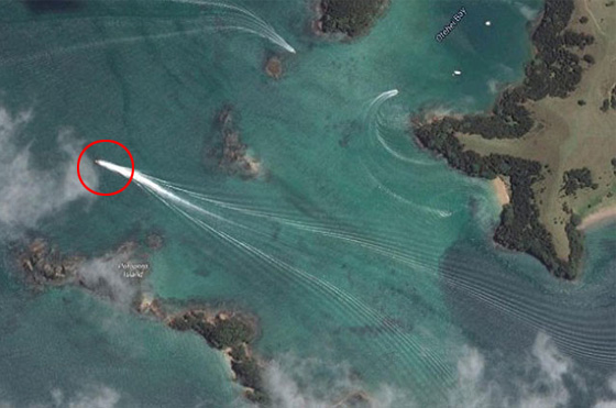 كشفت عنه خرائط غوغل.. مخلوف عملاق يعيش على شواطئ نيوزيلندا صورة رقم 1