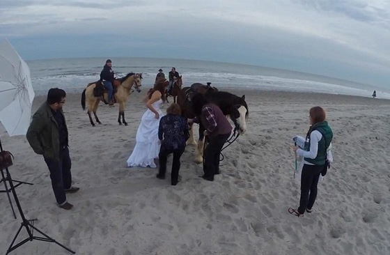 حصان هائج يقذف عروسا امتطته الى عالم الضحك صورة رقم 1