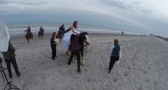 حصان هائج يقذف عروسا امتطته الى عالم الضحك صورة رقم 3