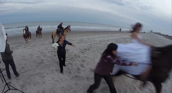 حصان هائج يقذف عروسا امتطته الى عالم الضحك صورة رقم 5