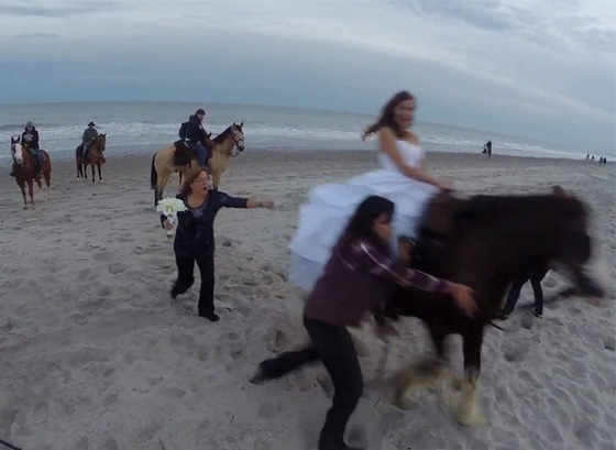 حصان هائج يقذف عروسا امتطته الى عالم الضحك صورة رقم 8