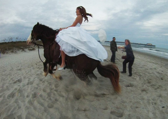 حصان هائج يقذف عروسا امتطته الى عالم الضحك صورة رقم 7