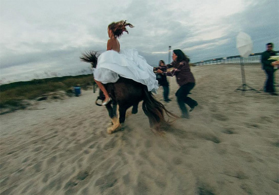 حصان هائج يقذف عروسا امتطته الى عالم الضحك صورة رقم 10