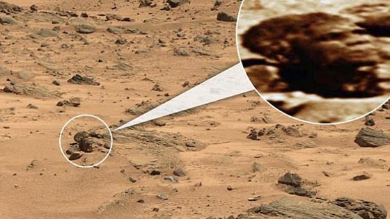 هل تم العثور حقا على نعش للموتى في ربوع المريخ؟ صورة رقم 1