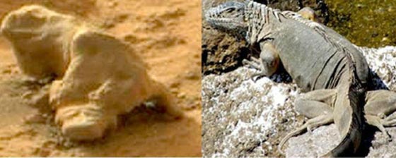 هل تم العثور حقا على نعش للموتى في ربوع المريخ؟ صورة رقم 4