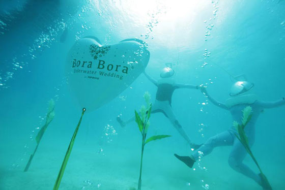 زواج من عالم الاحلام.. بورا بورا تحضن زفافا مبهرا تحت الماء صورة رقم 1