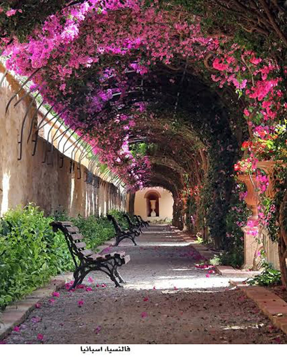 بالصور.. أجمل الشوارع التي تكسوها الزهور الساحرة في العالم صورة رقم 2