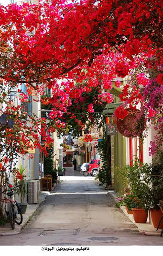 بالصور.. أجمل الشوارع التي تكسوها الزهور الساحرة في العالم صورة رقم 4
