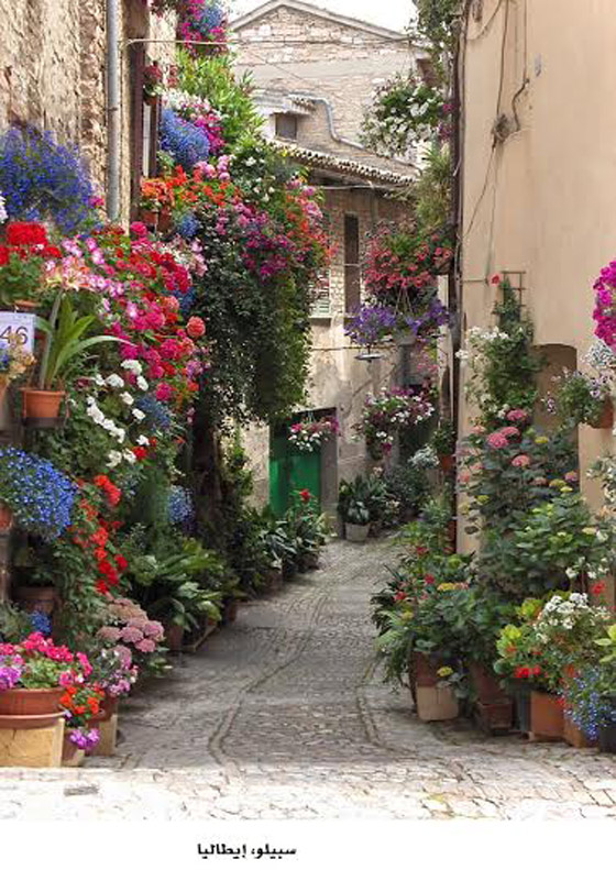 بالصور.. أجمل الشوارع التي تكسوها الزهور الساحرة في العالم صورة رقم 6