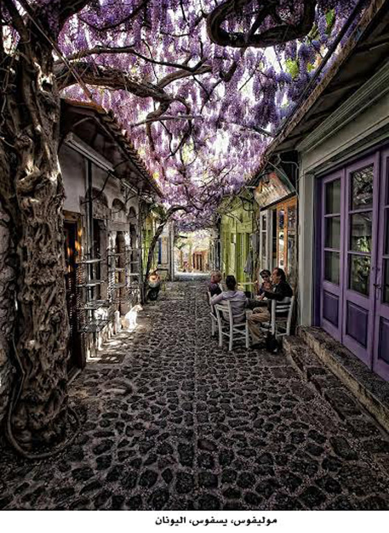 بالصور.. أجمل الشوارع التي تكسوها الزهور الساحرة في العالم صورة رقم 7