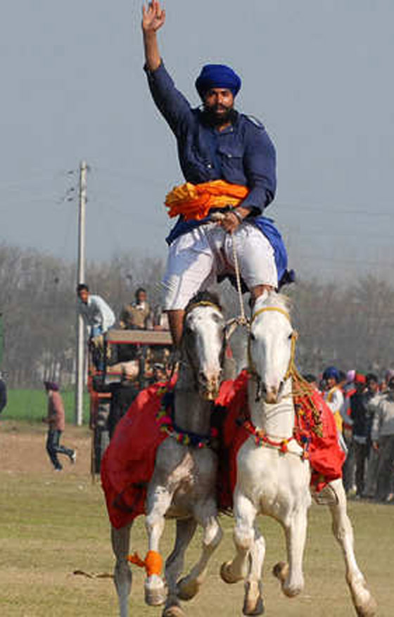 بالصور.. الفروسية في الهند قوة ومهارة وامتطاء حصانين معا صورة رقم 4