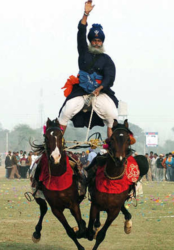 بالصور.. الفروسية في الهند قوة ومهارة وامتطاء حصانين معا صورة رقم 6