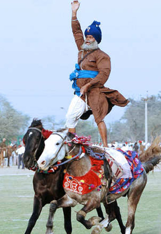 بالصور.. الفروسية في الهند قوة ومهارة وامتطاء حصانين معا صورة رقم 7