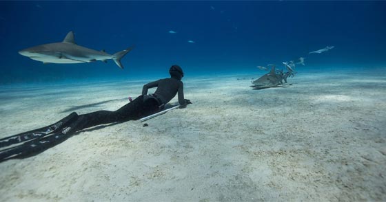 روائع الصور.. زوجان يسبران غور المحيطات بالغوص الحر صورة رقم 5