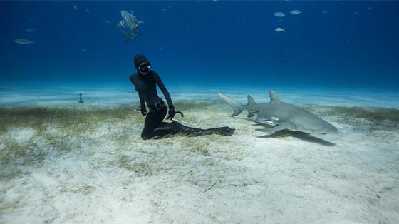 روائع الصور.. زوجان يسبران غور المحيطات بالغوص الحر صورة رقم 8