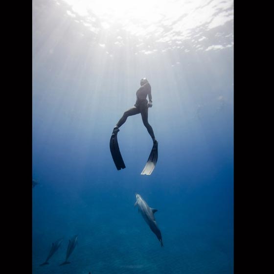 روائع الصور.. زوجان يسبران غور المحيطات بالغوص الحر صورة رقم 12