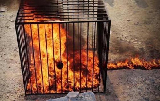 داعش للأردنيين: نشتاق لشرب دمائكم وفيديو جديد لحرق الكساسبة صورة رقم 3