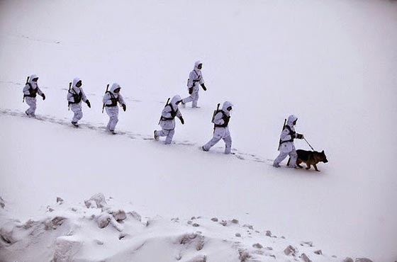 تدريبات قاسية يخوضها الجيش الصيني على الثلج.. شاهد الصور صورة رقم 10