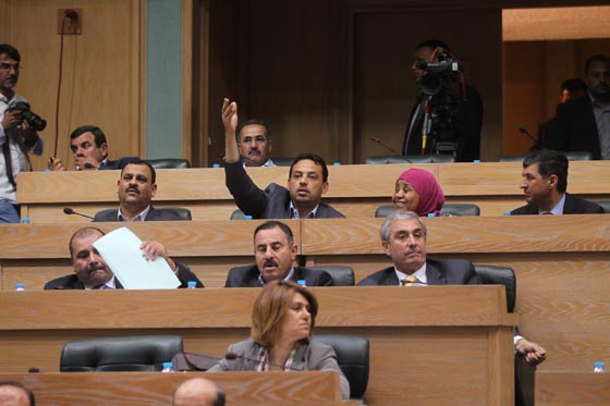 مطاردة قط في مجلس النواب الاردني تشعل مواقع التواصل! صورة رقم 7