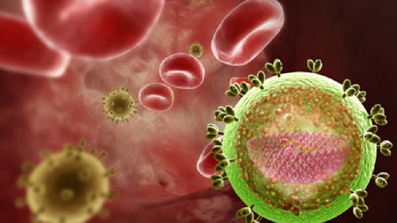 أطباء امريكيون ينجحون بمنع تطور فيروس الايدز صورة رقم 1