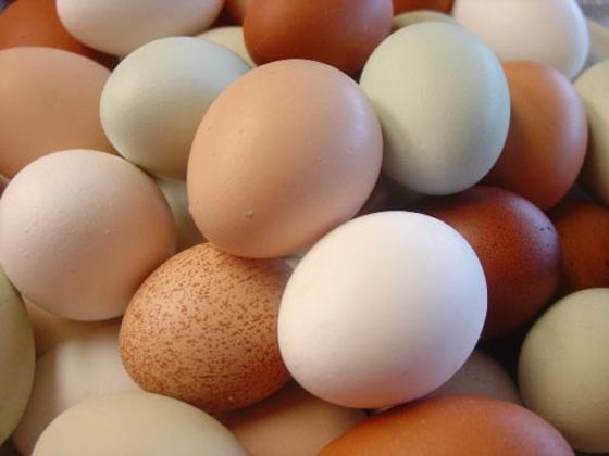 البيض يحمي الرجال من مرض السكري من النوع الخطر صورة رقم 2