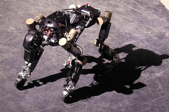 روبوت شارلي.. قرد ذو قدرة خاصة لمناطحة سطح القمر صورة رقم 5