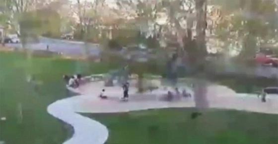 شاهد بالتفصيل  لحظة سقوط شجرة على اطفال في ساحة عامة صورة رقم 3