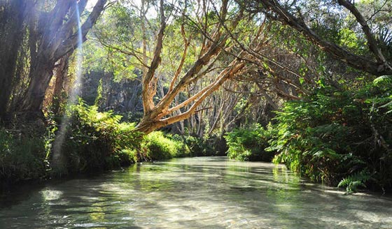 صور رائعة لأكبر جزيرة رملية في العالم تتكون من مياه الأمطار صورة رقم 9