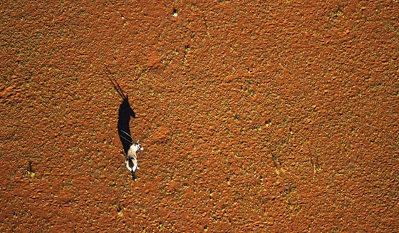 اجمل صور التقطها زوجان من اعالي سماء افريقيا صورة رقم 4