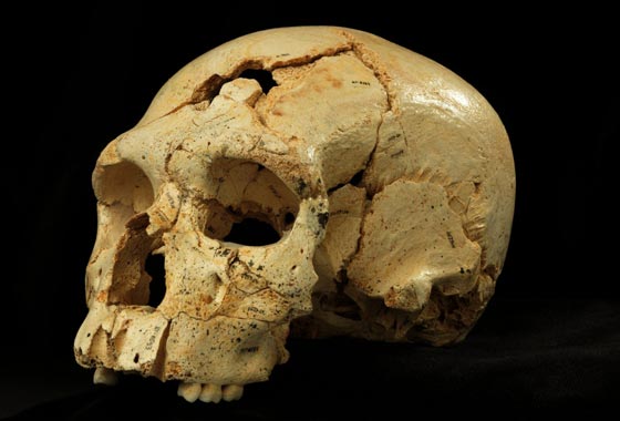 اكتشاف جمجمة تؤكد ان القتل كان موجودا قبل 430 الف سنة صورة رقم 1