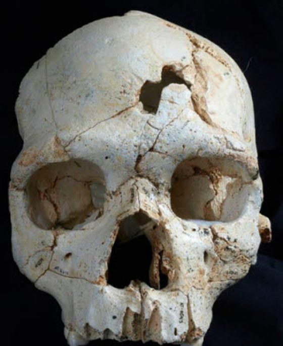 اكتشاف جمجمة تؤكد ان القتل كان موجودا قبل 430 الف سنة صورة رقم 2