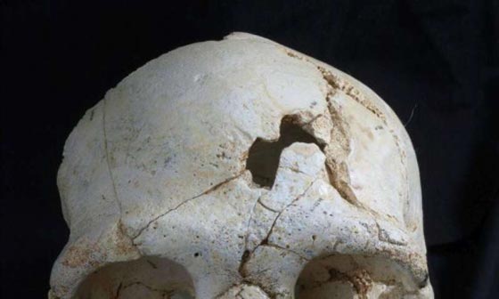 اكتشاف جمجمة تؤكد ان القتل كان موجودا قبل 430 الف سنة صورة رقم 4