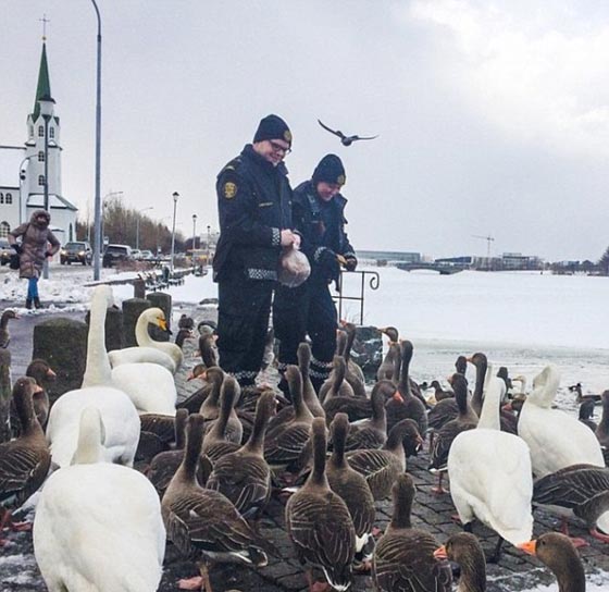 صور مضحكة: رجال شرطة مع حيوانات اليفة، يلتهمون برجر ويلهون بالثلج  صورة رقم 30