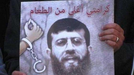 الاسير خضر عدنان يوقف اضرابه عن الطعام 56 يوما ويخرج للحرية صورة رقم 2