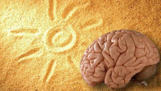 دماغ الانسان يميز بين الفصول ويحدد بنفسه حلول فصل الصيف صورة رقم 1